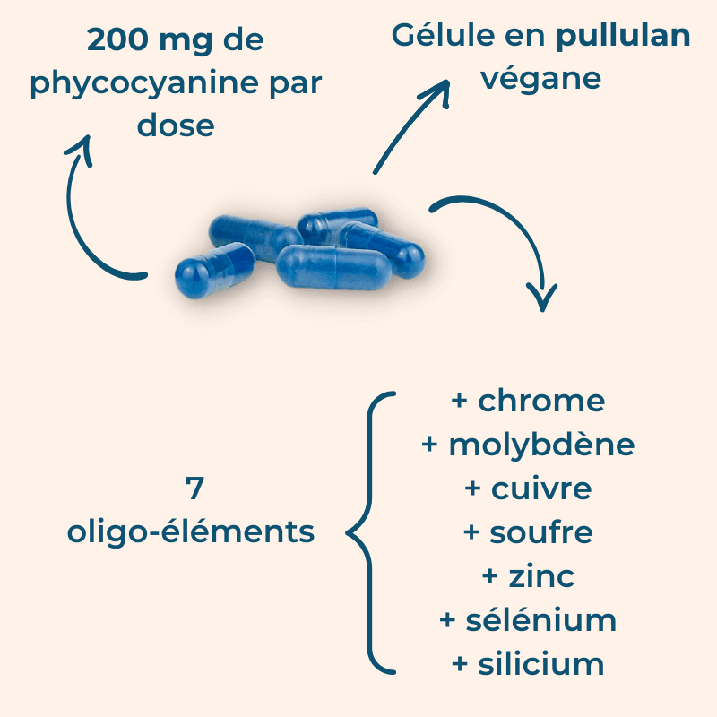 Pack Booster : Phyco-éléments + Phycocyanine nature – Image 4