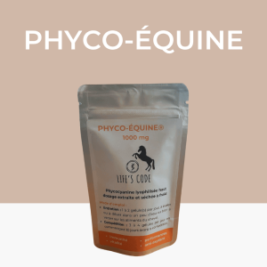 Alternative view of Phyco-Équine