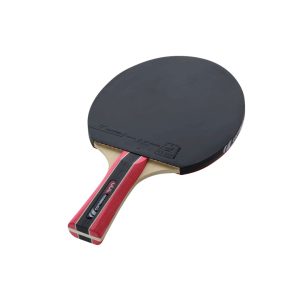 Alternative view of CORNILLEAU RAQUETTE SPORT 300 TENNIS DE TABLE