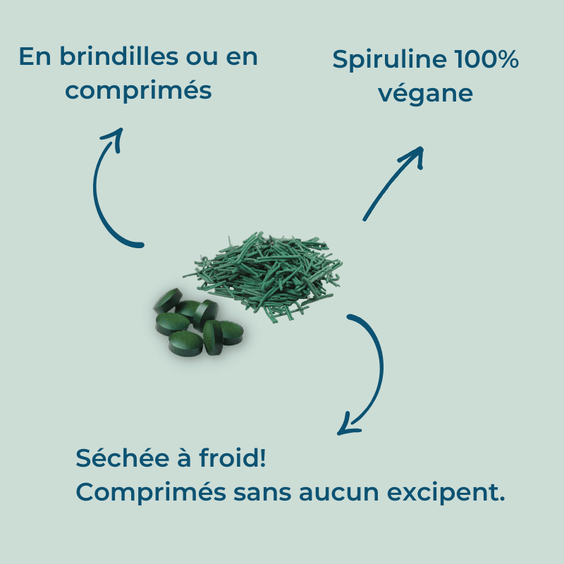 Pack Sérénité : Spiruline + Phyco-Mag + DHA Algal – Image 6
