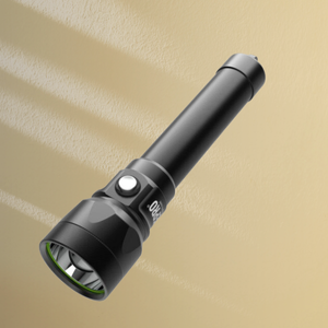 Lampe de plongée DIVEPRO S40+